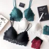 Women's Petal Lace Bra and Panties 2 Pcs Set