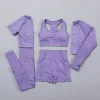purple-5-pcs